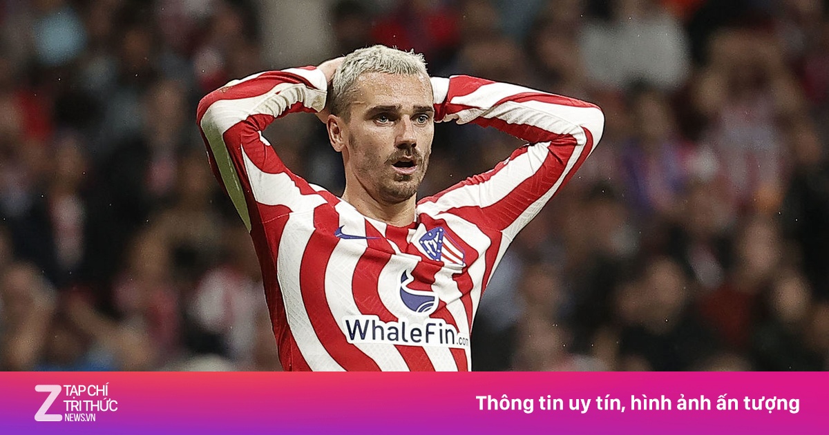 尼斯这样的