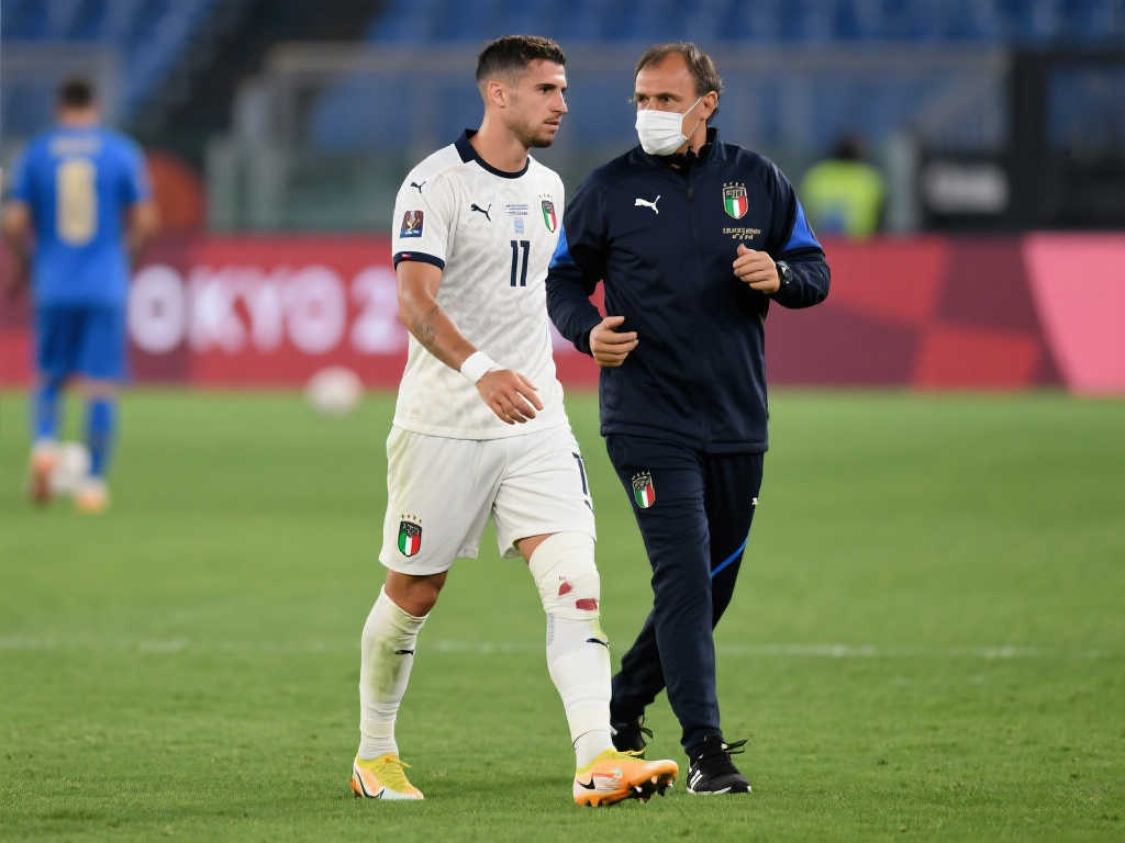 归化政策在 归化政策在