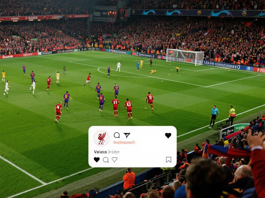 这是俱乐部 这是俱乐部